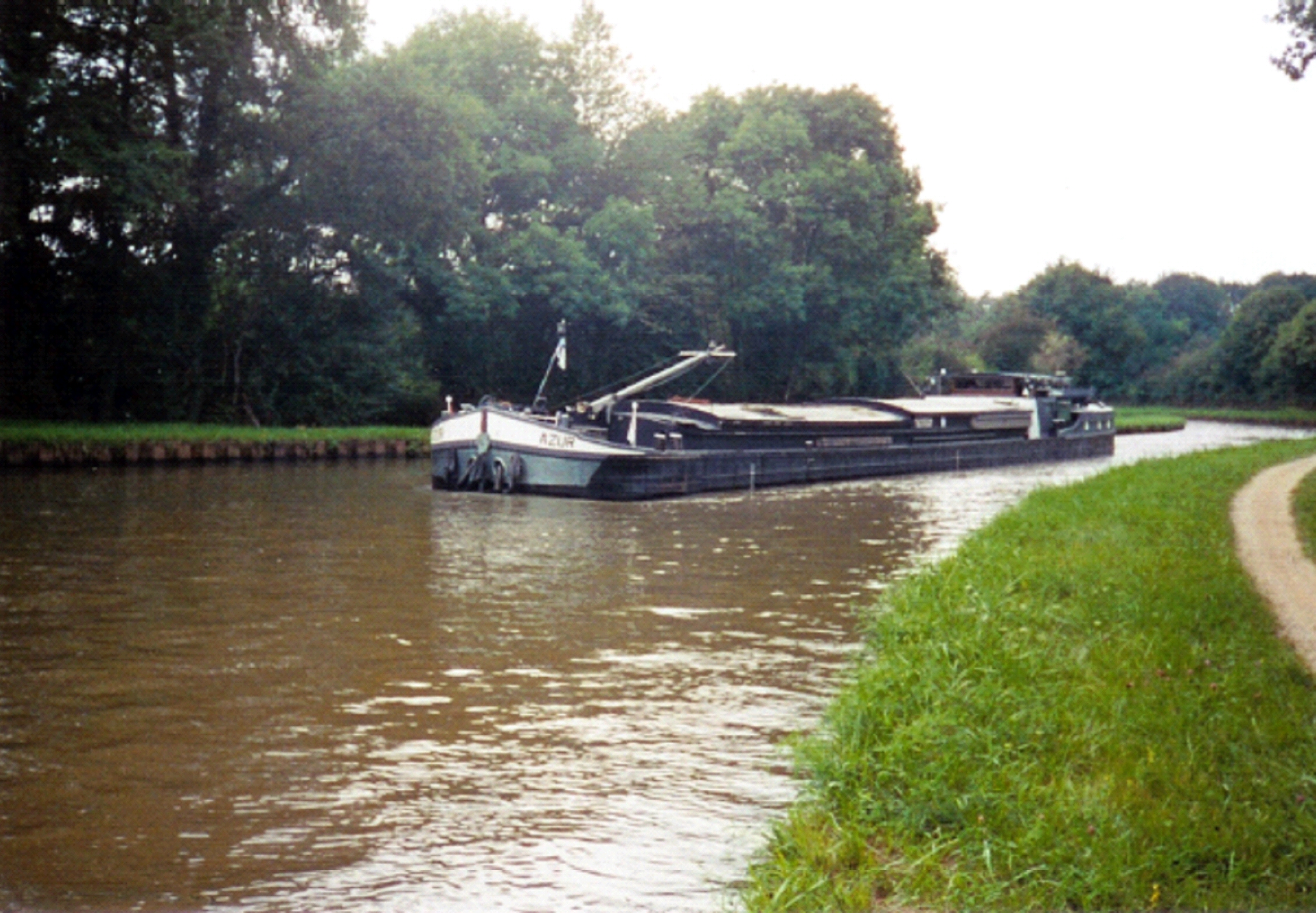 img1.jpg